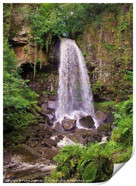 Melincourt Falls in Summer Print by Paula J James