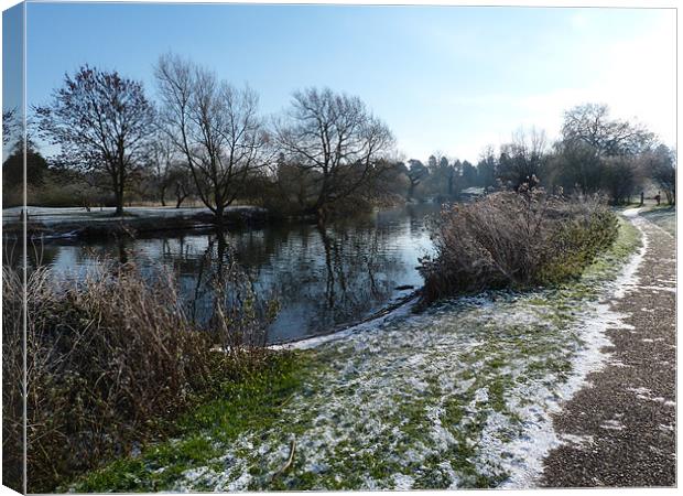 Winter on the River Avon Canvas Print by simon brown