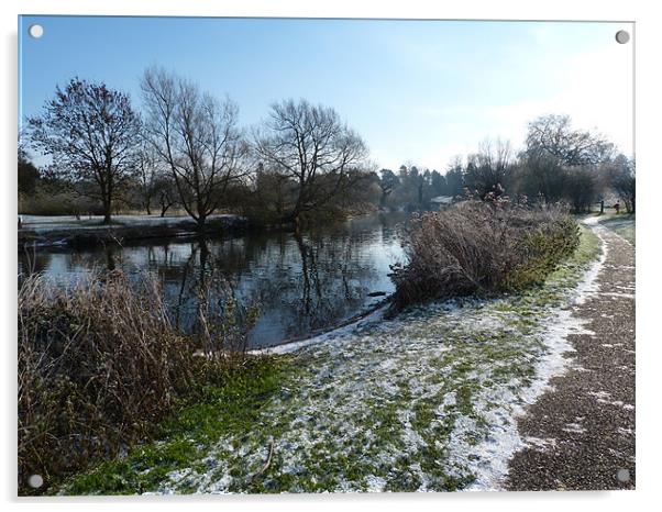 Winter on the River Avon Acrylic by simon brown