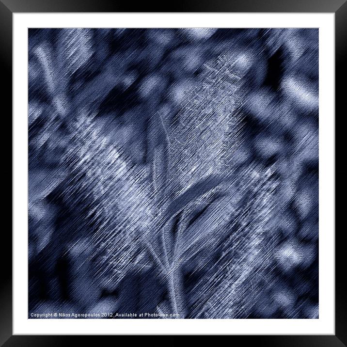 Monochrome natural forms Framed Mounted Print by Alfani Photography