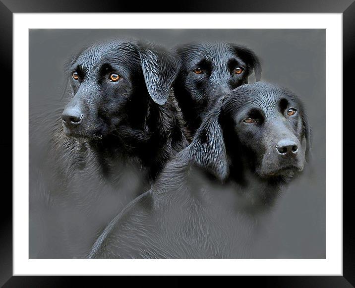 The three sisters Framed Mounted Print by Alan Mattison