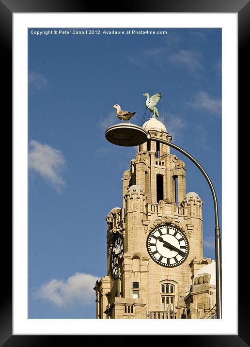 The Liver Birds Liverpool Framed Mounted Print by Peter Carroll