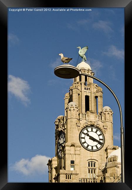 The Liver Birds Liverpool Framed Print by Peter Carroll