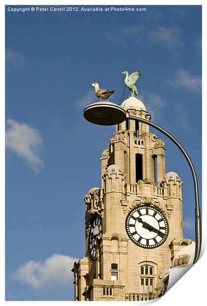 The Liver Birds Liverpool Print by Peter Carroll