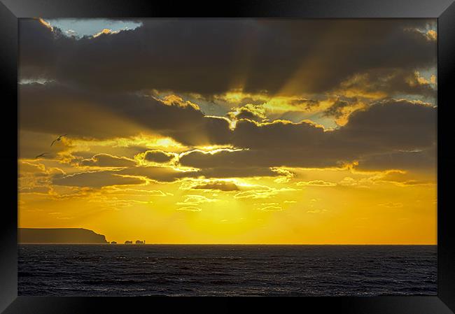 Golden Sky over Isle of Wight Framed Print by Jennie Franklin