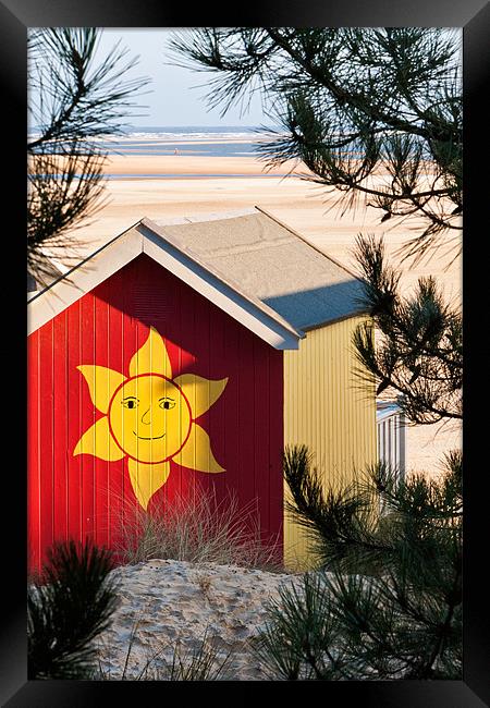 Smile on a A Sunny View Framed Print by Stephen Mole