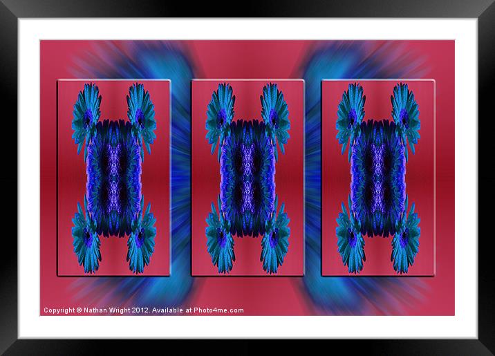 Red and blue flowers Framed Mounted Print by Nathan Wright