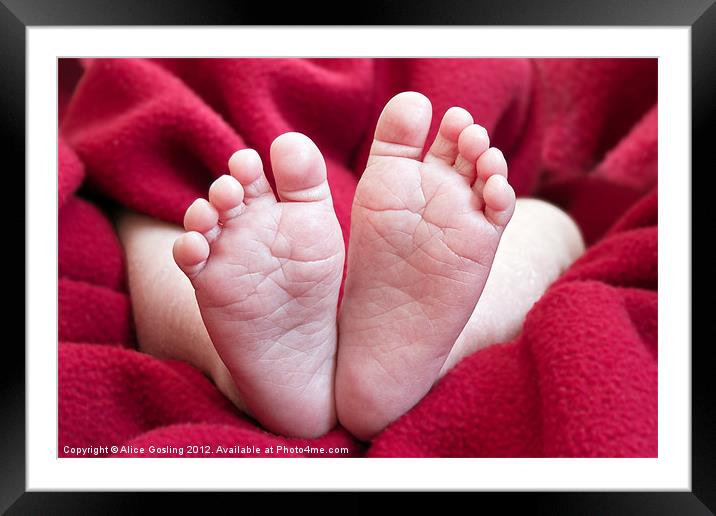 Baby Feet Framed Mounted Print by Alice Gosling