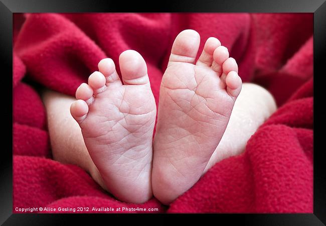 Baby Feet Framed Print by Alice Gosling