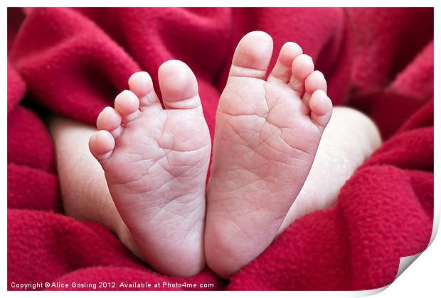 Baby Feet Print by Alice Gosling
