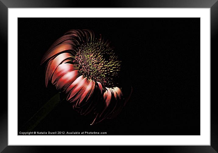 Dying in the Dark Framed Mounted Print by Natalie Durell