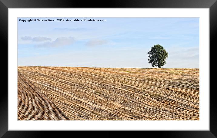 Ploughed & Ready Framed Mounted Print by Natalie Durell