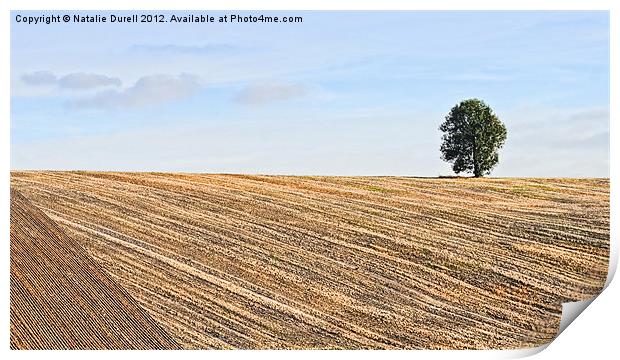 Ploughed & Ready Print by Natalie Durell