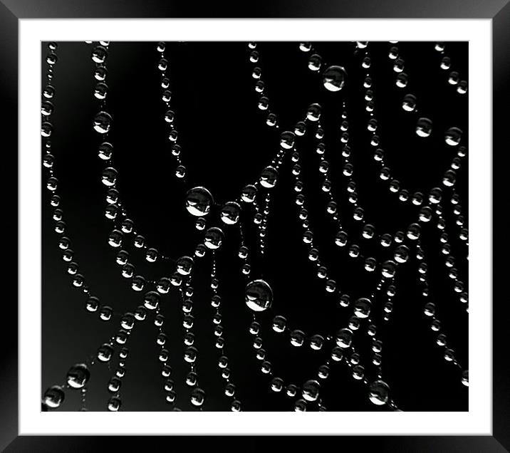 Droplets Framed Mounted Print by Mikaela Fox
