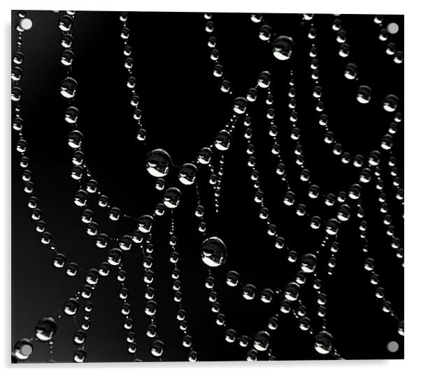 Droplets Acrylic by Mikaela Fox