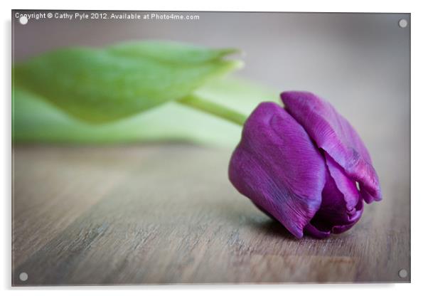 Purple tulip Acrylic by Cathy Pyle