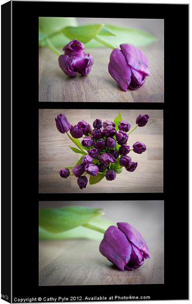 Purple tulips triptych Canvas Print by Cathy Pyle