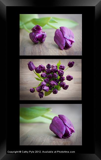 Purple tulips triptych Framed Print by Cathy Pyle