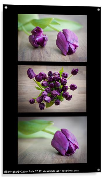 Purple tulips triptych Acrylic by Cathy Pyle