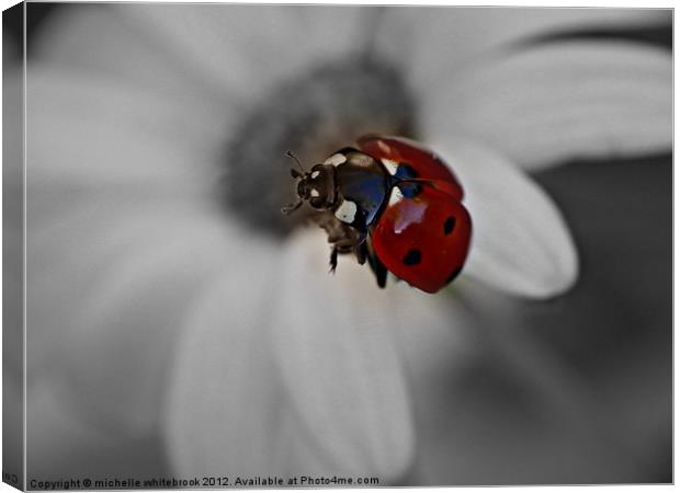 Flying ladybird B/W Canvas Print by michelle whitebrook