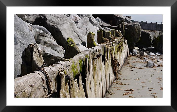 Beach wood. Framed Mounted Print by Claire Ing