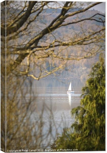 Reflection of Peace and Tranquillity. Canvas Print by Peter Carroll