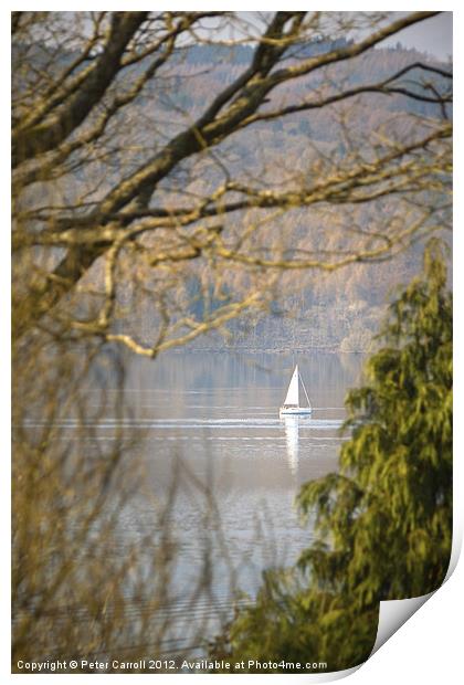 Reflection of Peace and Tranquillity. Print by Peter Carroll