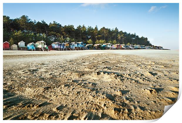 Windswept Beach Huts Print by Stephen Mole