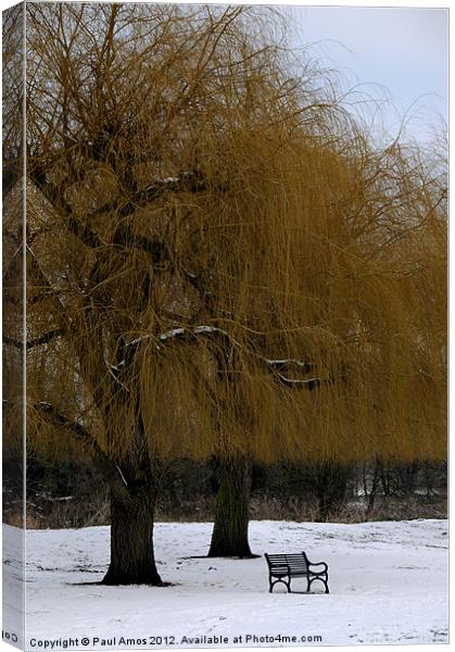 Winter Trees Canvas Print by Paul Amos