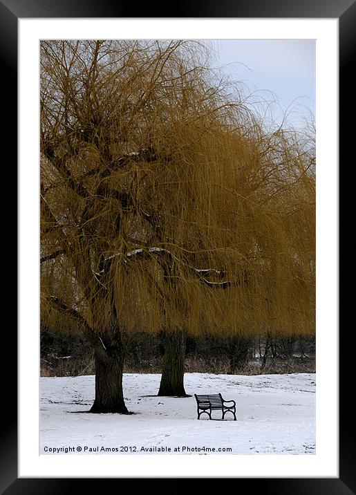 Winter Trees Framed Mounted Print by Paul Amos