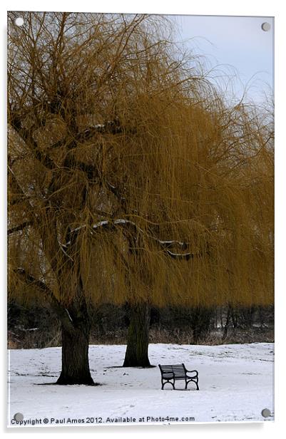 Winter Trees Acrylic by Paul Amos