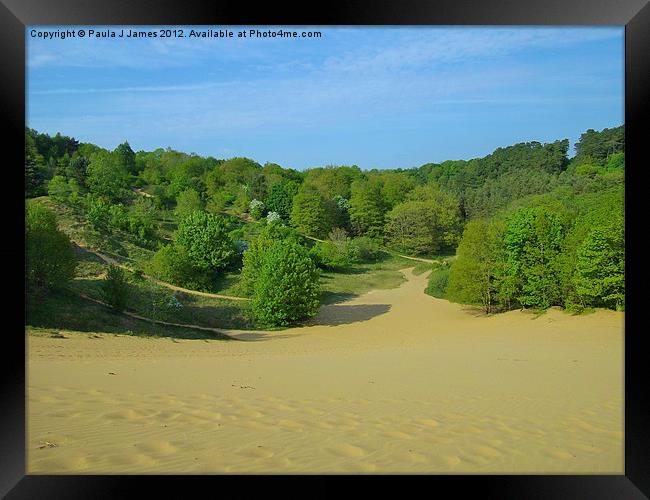 Merthyr Mawr Sand Dunes Framed Print by Paula J James