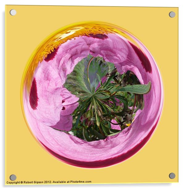 Spherical Glass poppy Acrylic by Robert Gipson