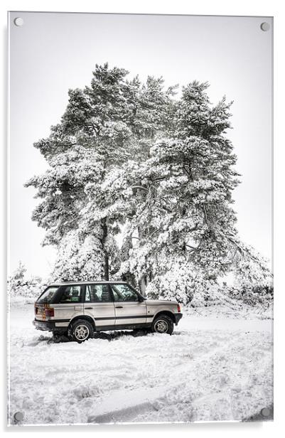 Range Rover P38 in the Snow Acrylic by Eddie Howland