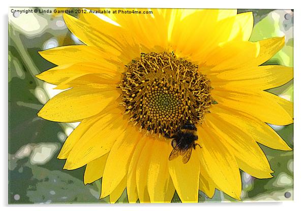 Pollinating a sunflower Acrylic by Linda Gamston