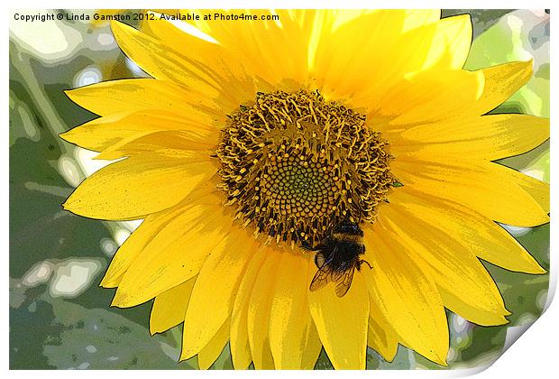 Pollinating a sunflower Print by Linda Gamston