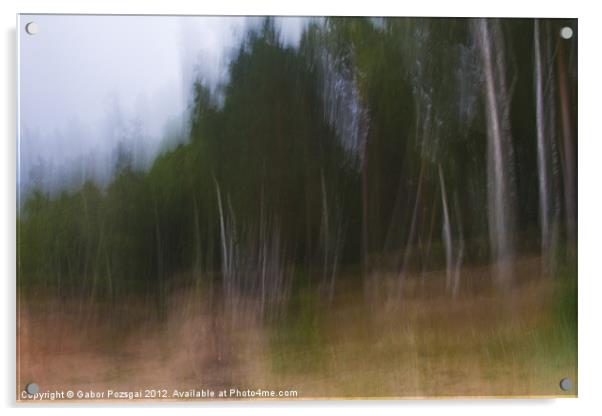 Impressionist birch wood Acrylic by Gabor Pozsgai