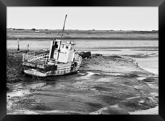 Remus on a sandbank Framed Print by Stephen Mole