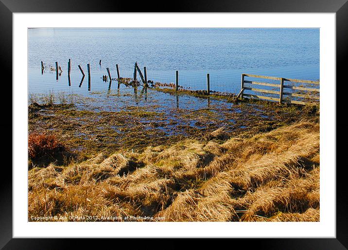 CALM LOCH OBSERVATIONS 2 Framed Mounted Print by Jon O'Hara
