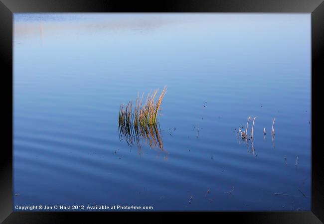 CALM LOCH OBSERVATIONS 5 Framed Print by Jon O'Hara