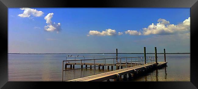 Courtney Campbell Causeway Framed Print by Mikaela Fox