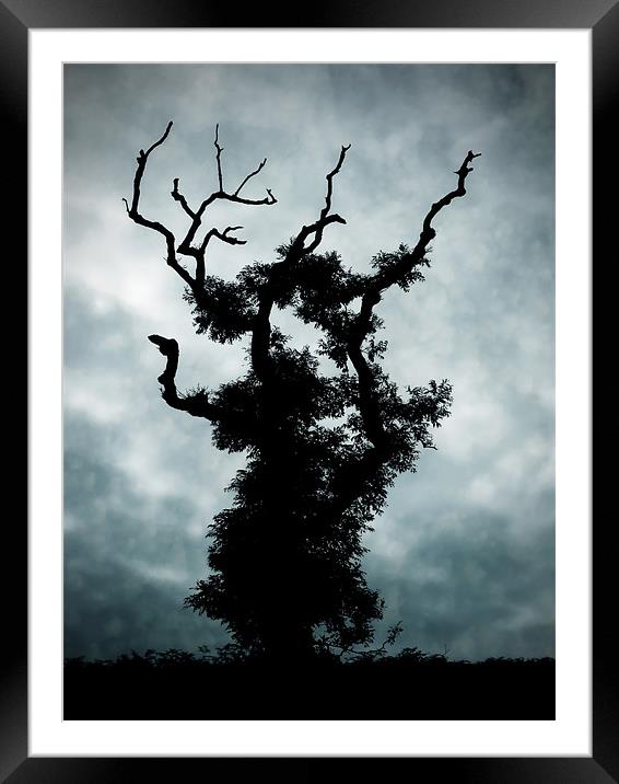 Goth Tree Framed Mounted Print by Mary Lane