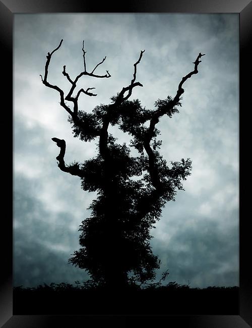 Goth Tree Framed Print by Mary Lane