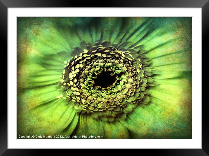 Eye of The Beholder Framed Mounted Print by Chris Manfield