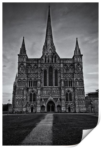 Salisbury Cathedral Print by Daniel Bristow