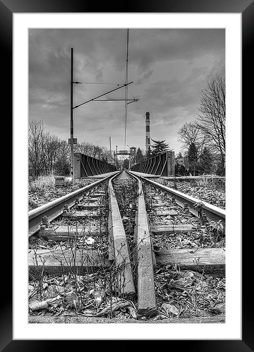 On The Right Track Framed Mounted Print by Andrew Squires