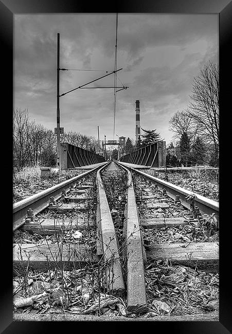 On The Right Track Framed Print by Andrew Squires