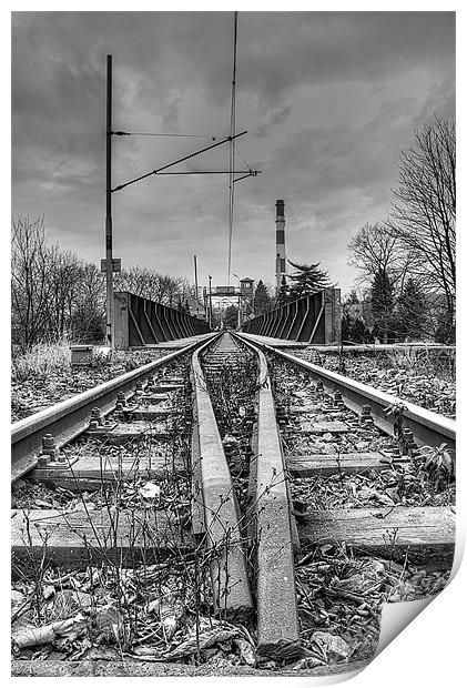 On The Right Track Print by Andrew Squires