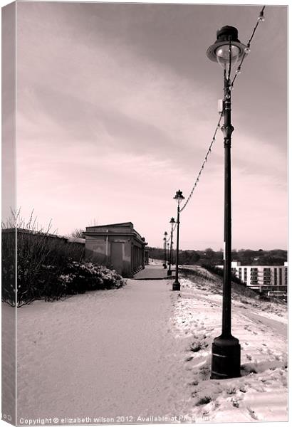 Lamposts in the snow Canvas Print by Elizabeth Wilson-Stephen