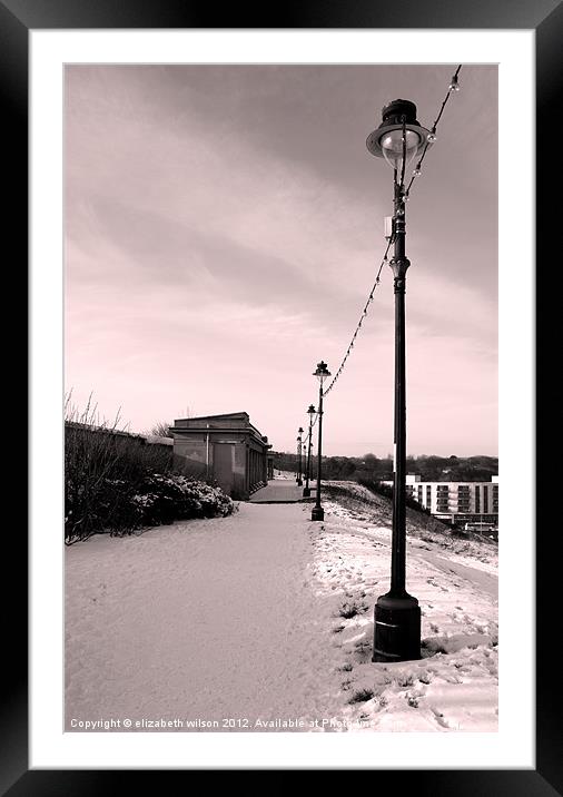 Lamposts in the snow Framed Mounted Print by Elizabeth Wilson-Stephen